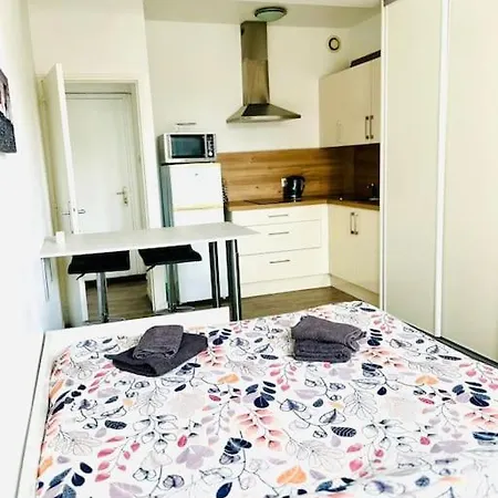 Dalikyda La Petite Apartment Le Havre